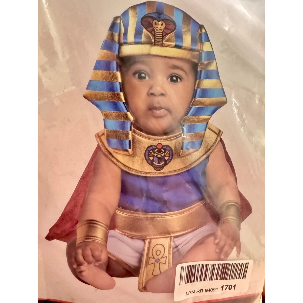 Rubies King Tut Costume Infant 6-12 Months Blue Gold Egyptian Pharaoh Royal - Picture 3 of 6